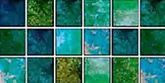 Tropical Mosaic